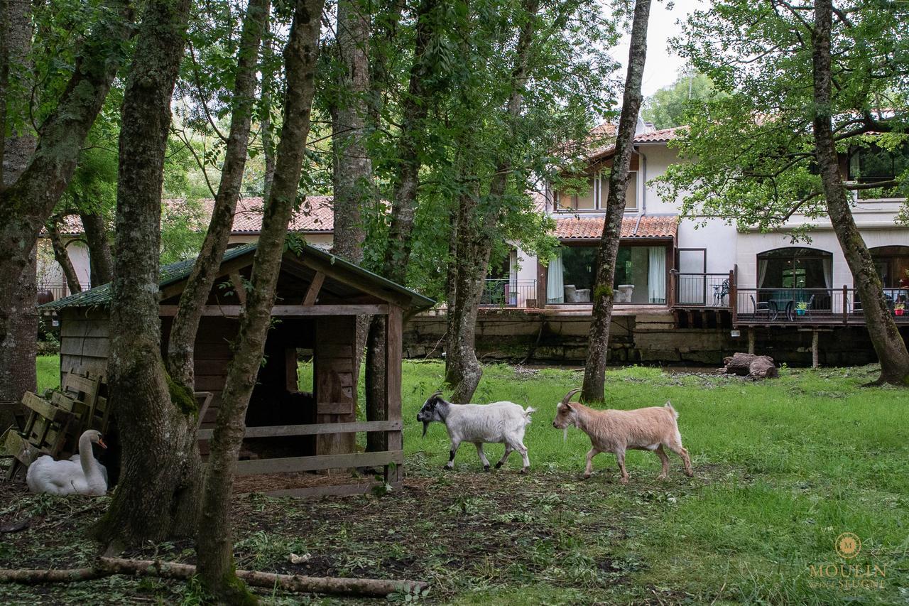 Moulin Du Val De Seugne Hotel Mosnac  Exterior photo